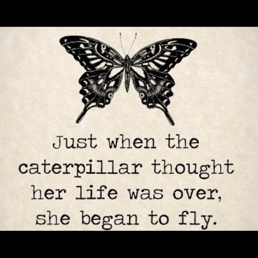 Meet your Posher, Anastasia